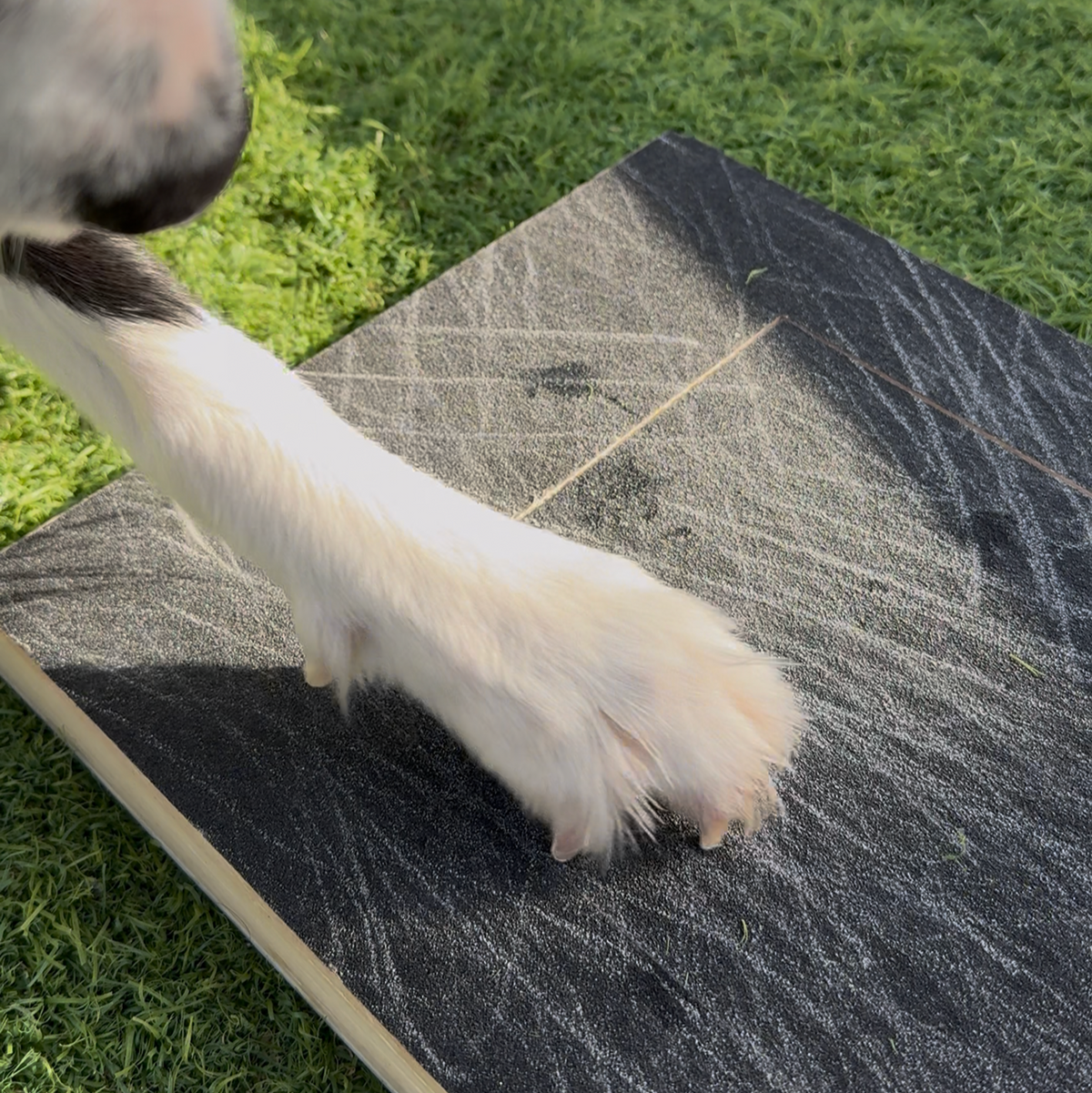 Electric Pet Nail Grinder for Dogs – DetailFresh™