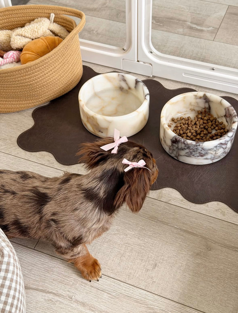 Tailented customer pet