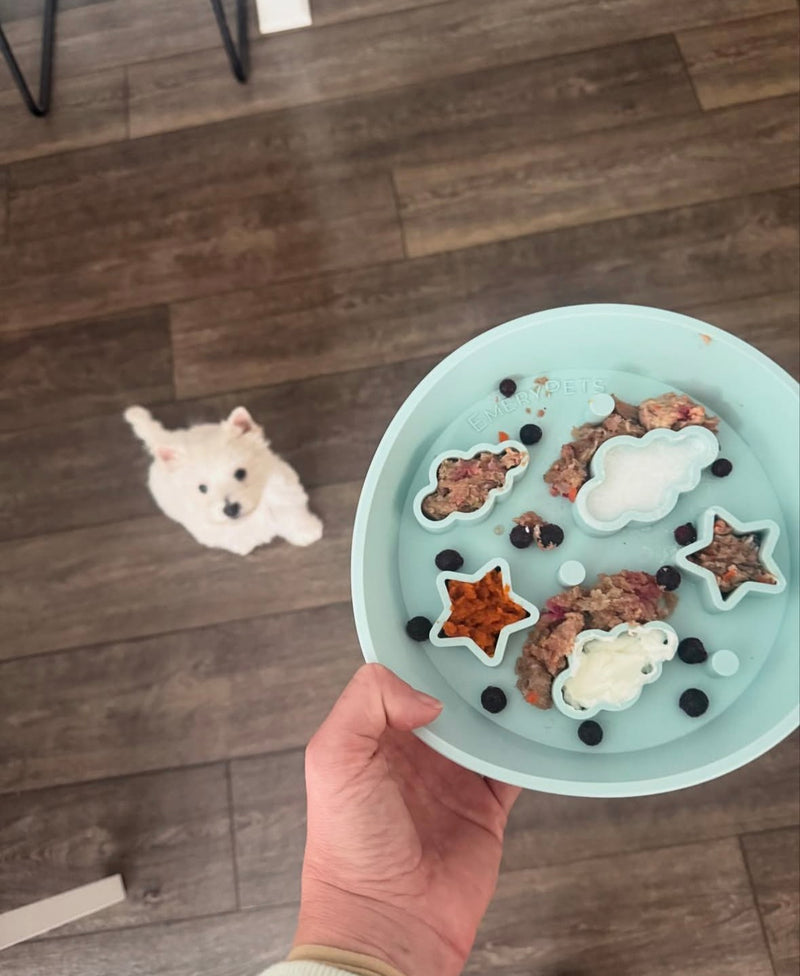 Tailented customer pet