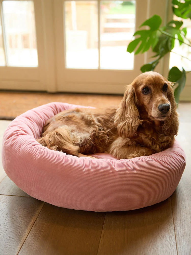 COMFORT