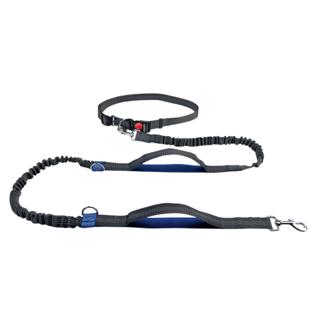 Hands-Free Bungee Dog Leash for Running – MotionTrail™