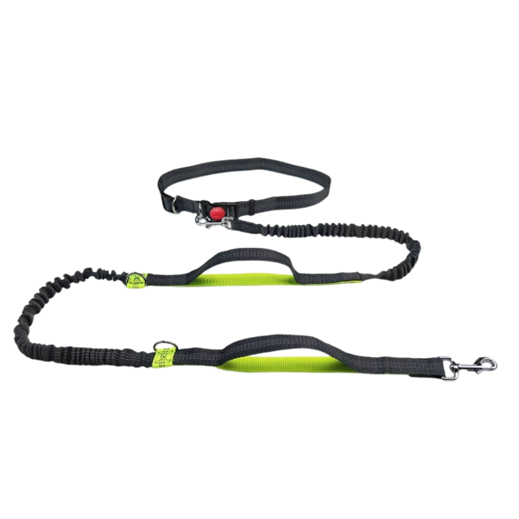 Hands-Free Bungee Dog Leash for Running – MotionTrail™