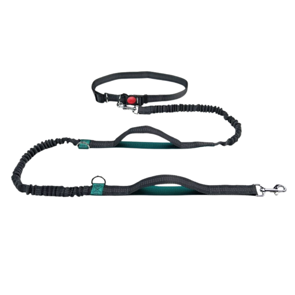Hands-Free Bungee Dog Leash for Running – MotionTrail™