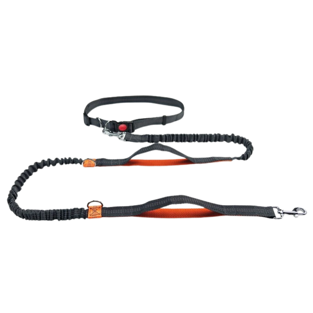 Hands-Free Bungee Dog Leash for Running – MotionTrail™