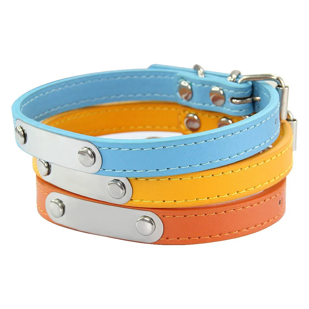 Personalised Stainless Steel Nameplate Pet Collar – ControlAdventure™