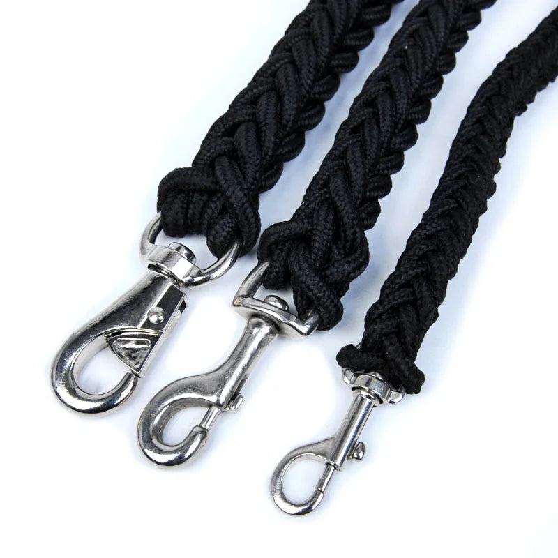 Heavy-Duty Nylon Dog Leash – FlexGlow™