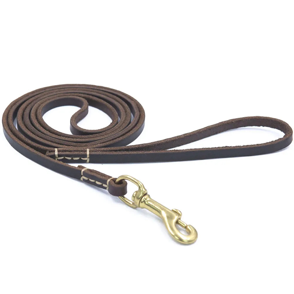 Tailented WalkPaws™ – Leather Dog Leash for Cats