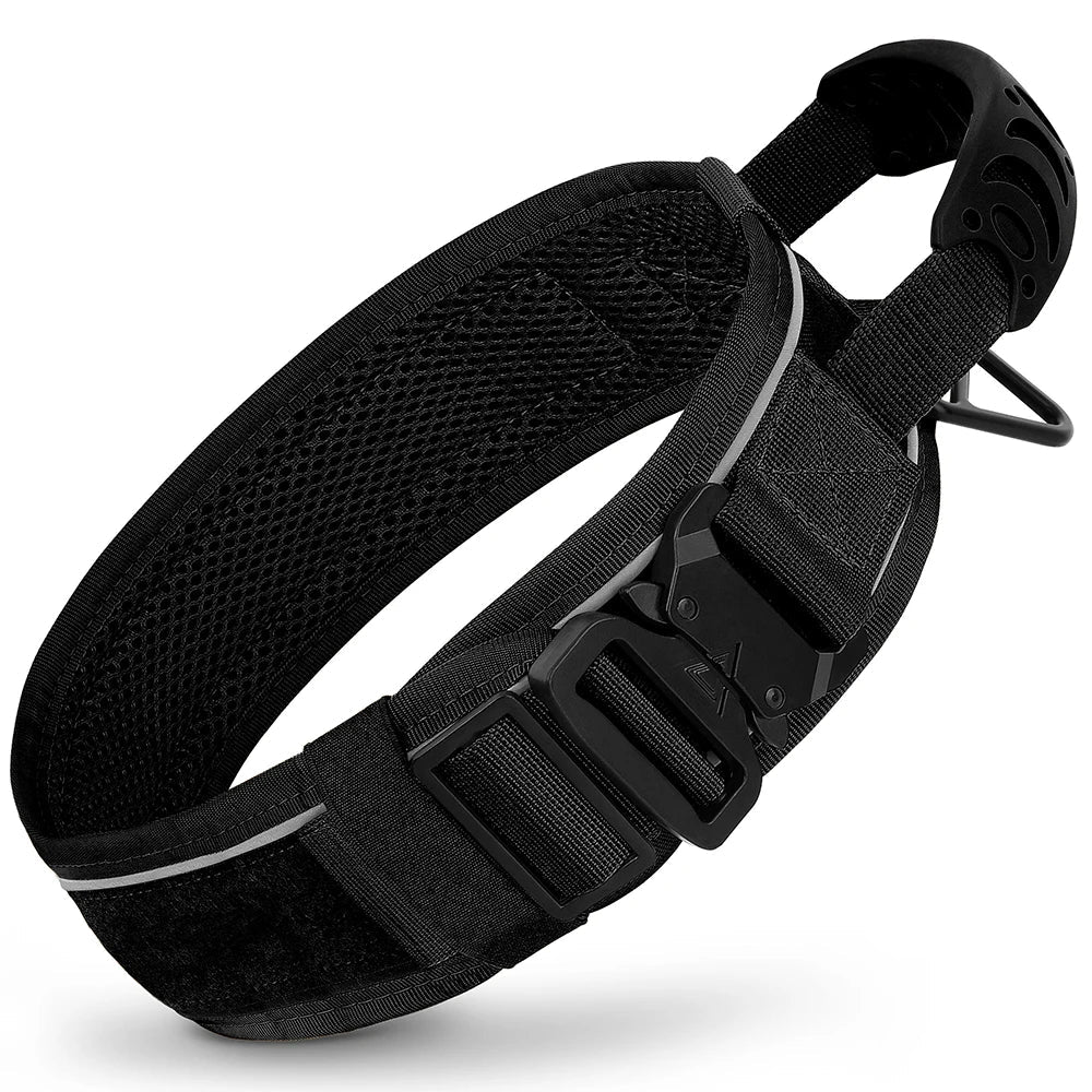 Nylon Dog Collar & Leash Set for Training – EverydayPure™
