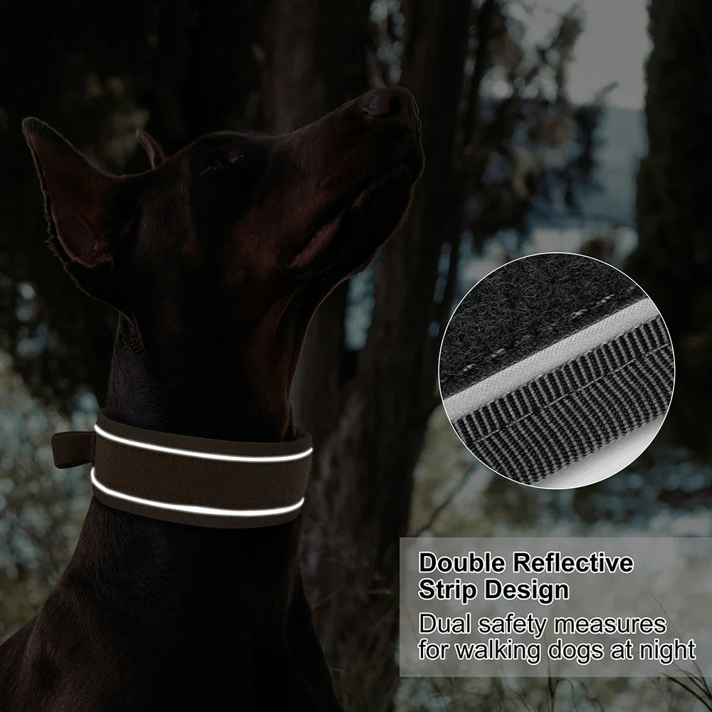 Nylon Dog Collar & Leash Set for Training – EverydayPure™