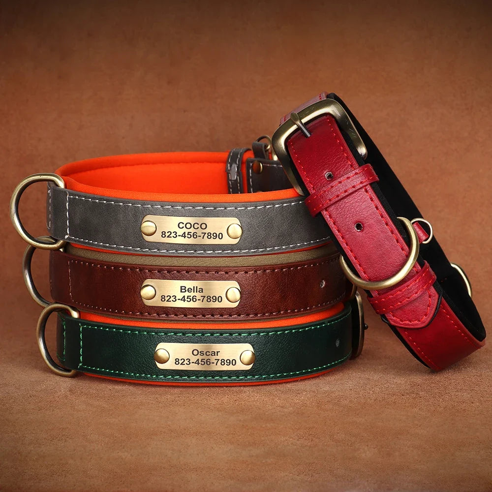 Tailented PawLink™ – Adjustable Dog Collar for Everyday Wear & Walking