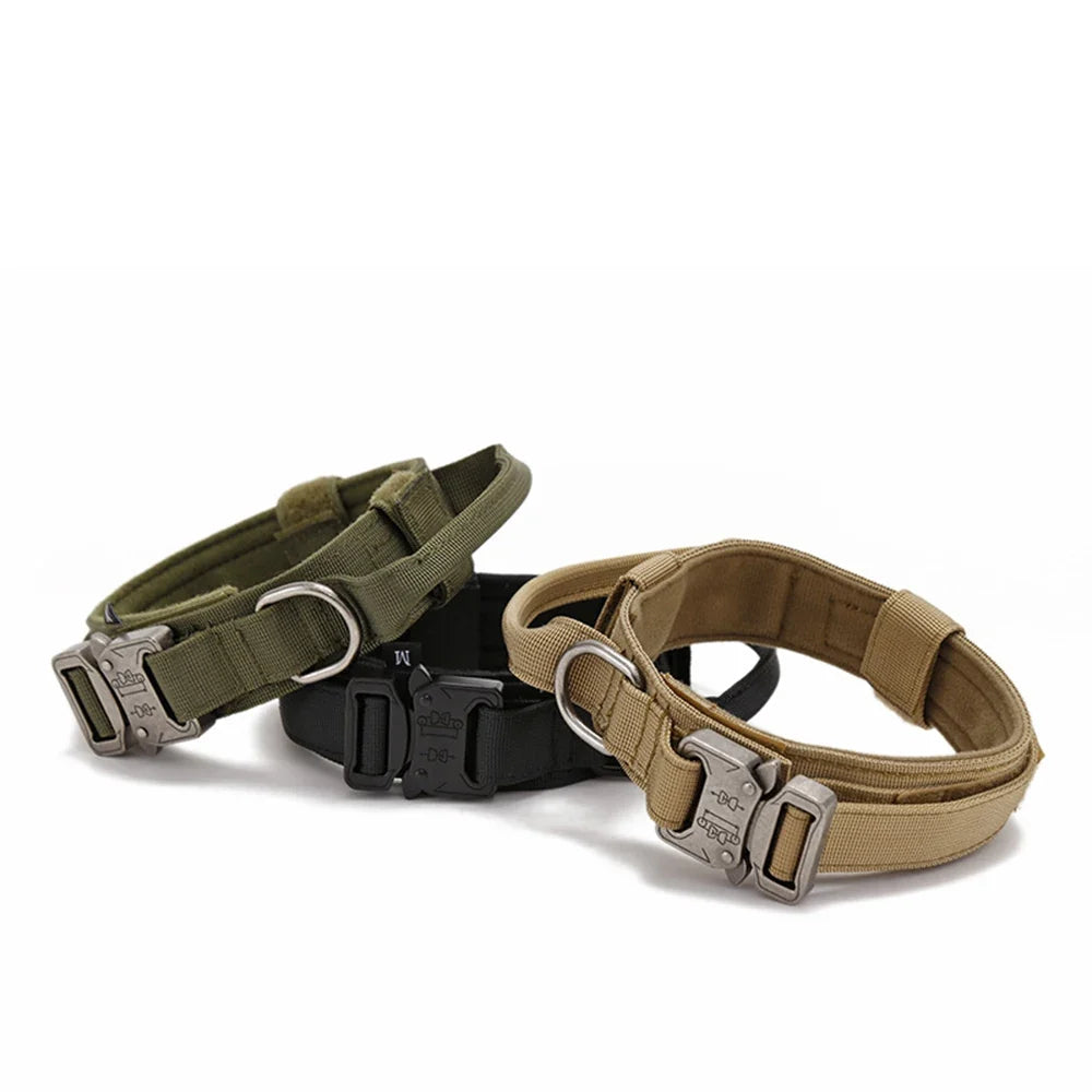 Nylon Adjustable Dog Collar – MotionPath™