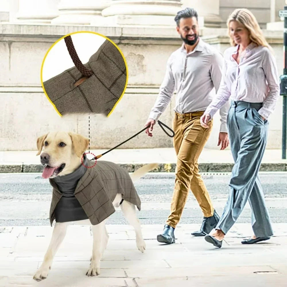 Tailented SnugFlex™ – Warm Dog Coat for Everyday Outdoor Wear
