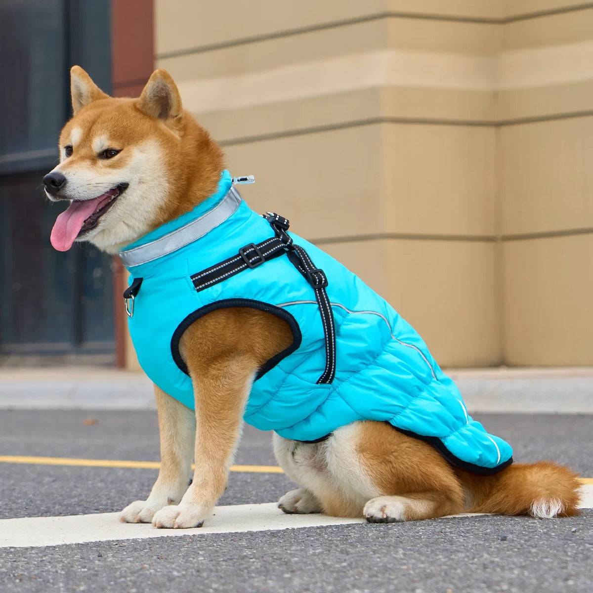Warm Dog Coat for Large Breeds – SnugWorks™