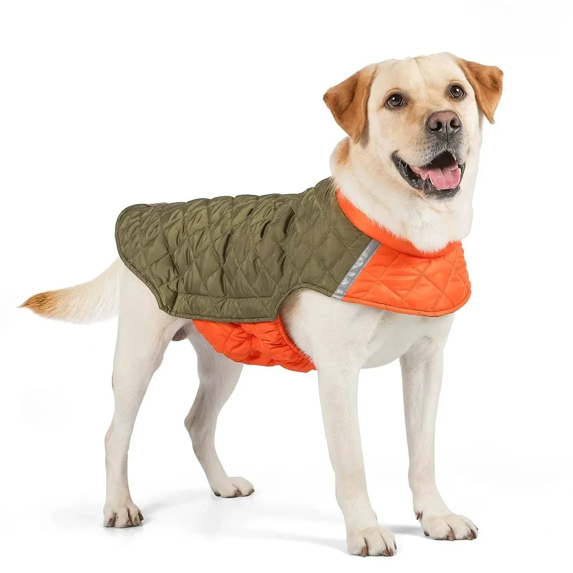 Warm Reflective Waterproof Dog Coat – ThermoWorks™