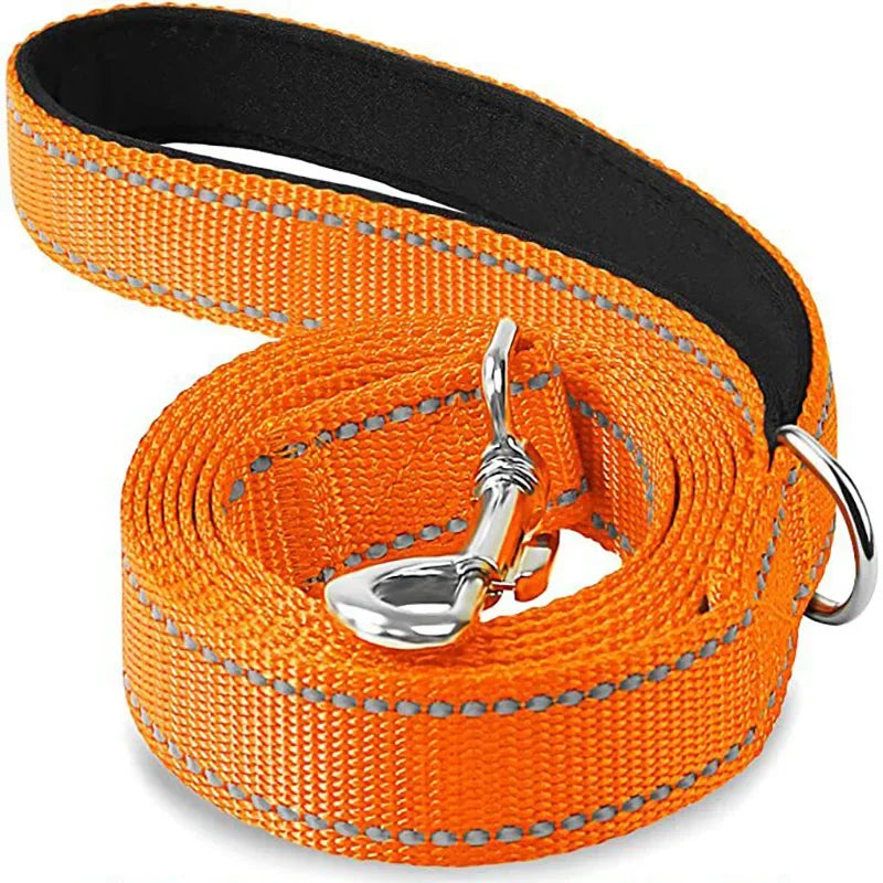 Tailented LeadFlow™ – Nylon Reflective Dog Leash for Everyday Walks
