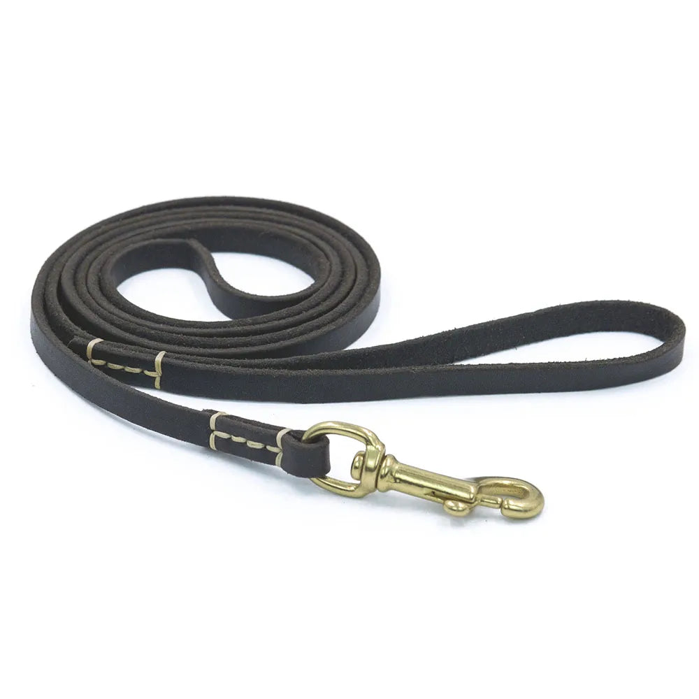 Tailented WalkPaws™ – Leather Dog Leash for Cats