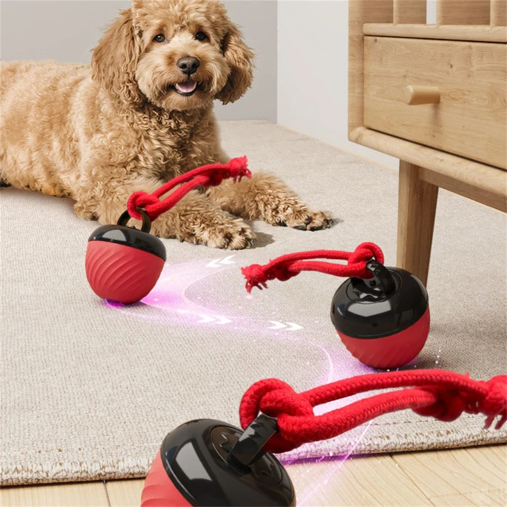 Interactive Moving Ball Toy for Dogs – TugMate™