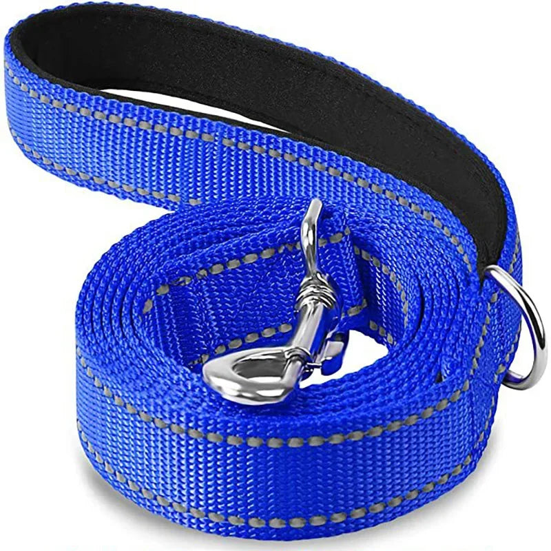 Tailented LeadFlow™ – Nylon Reflective Dog Leash for Everyday Walks
