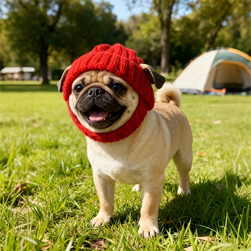 Warm Knitted Dog Hat – PawSmart™