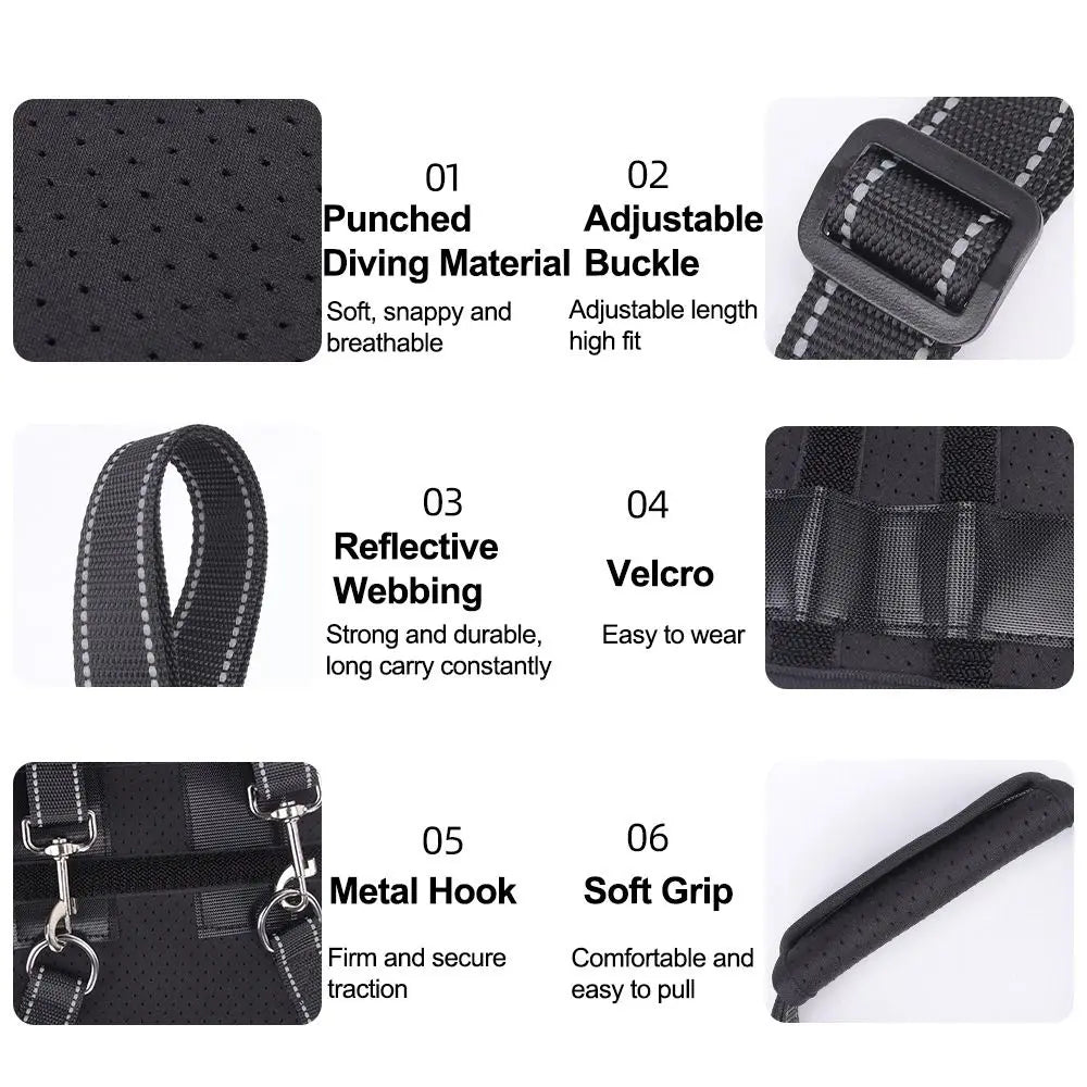 Dog Support Harness – TrailCore™
