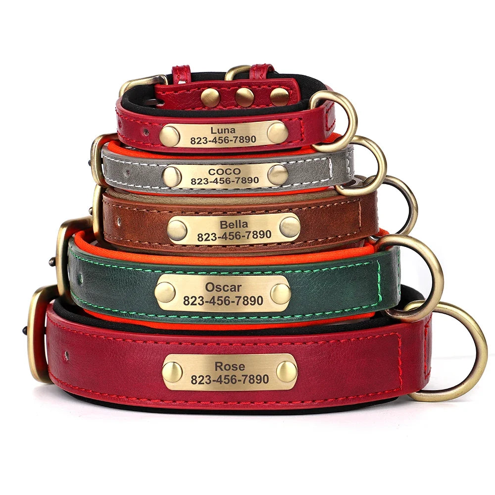 Tailented PawLink™ – Adjustable Dog Collar for Everyday Wear & Walking