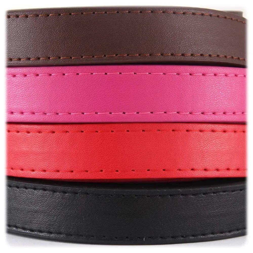 PU Leather Dog Leash – FlexSense™