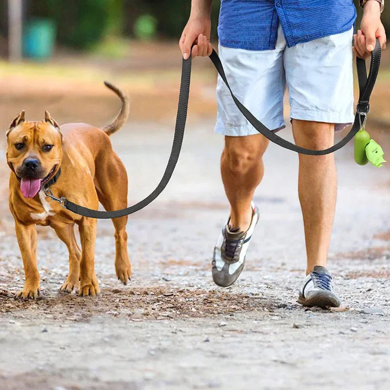 Tailented LeadFlow™ – Nylon Reflective Dog Leash for Everyday Walks