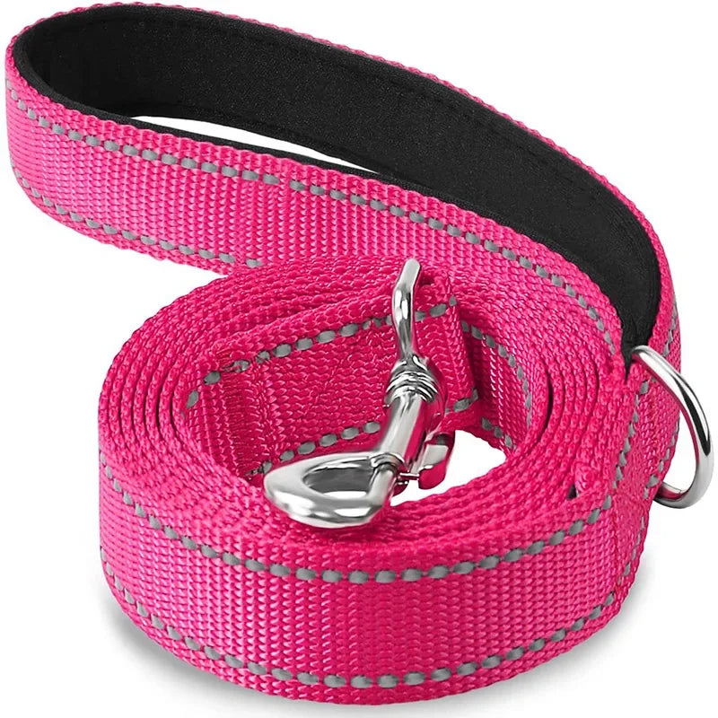 Tailented LeadFlow™ – Nylon Reflective Dog Leash for Everyday Walks