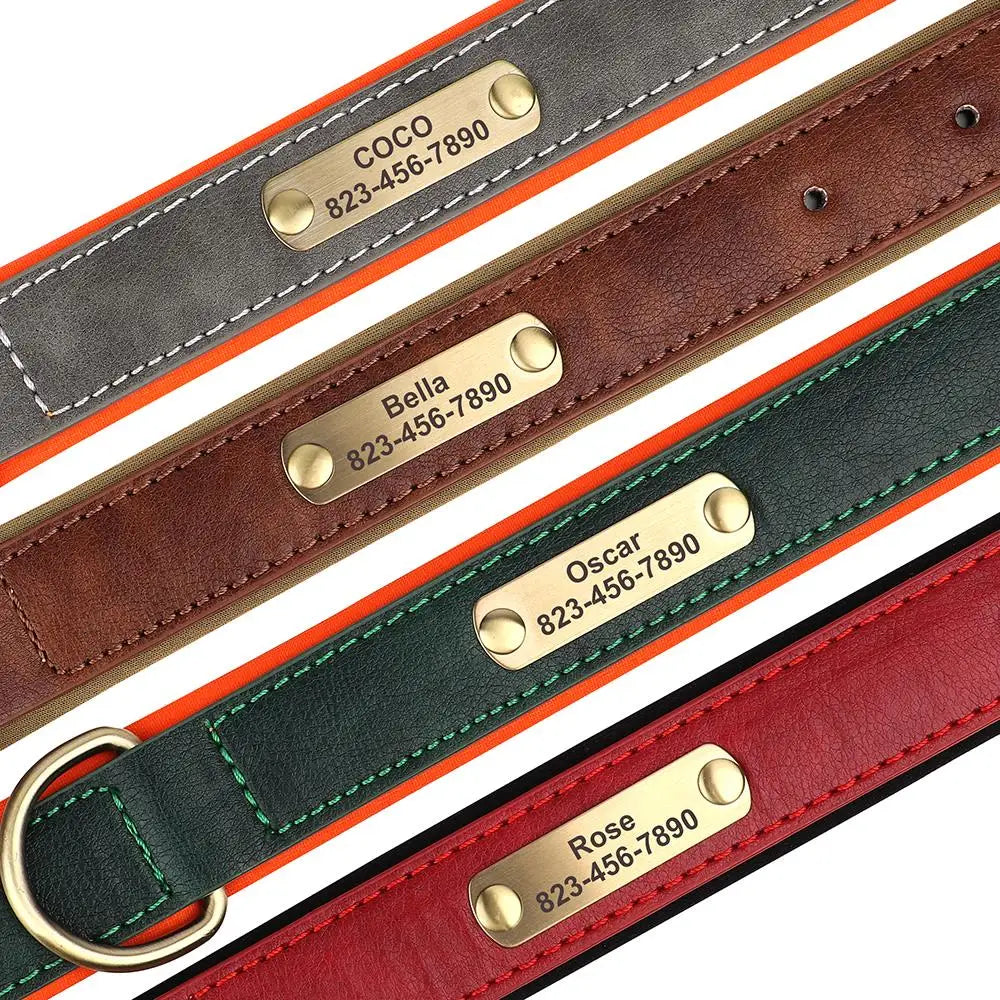 Tailented PawLink™ – Adjustable Dog Collar for Everyday Wear & Walking
