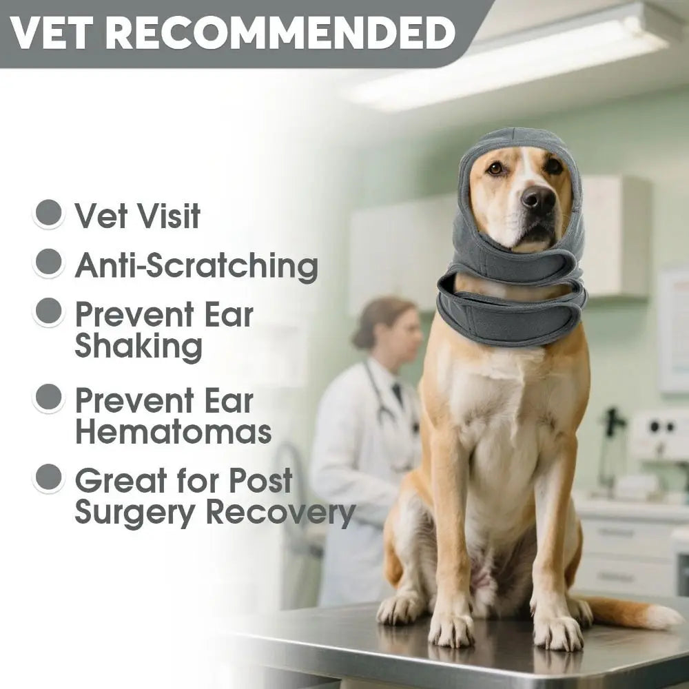 Adjustable Pet Headwear for Dogs – ThermoMotion™