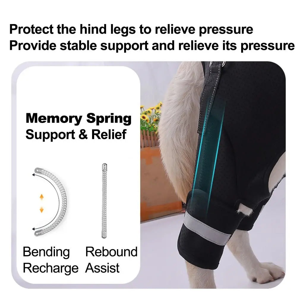 Dog Support Harness – TrailCore™