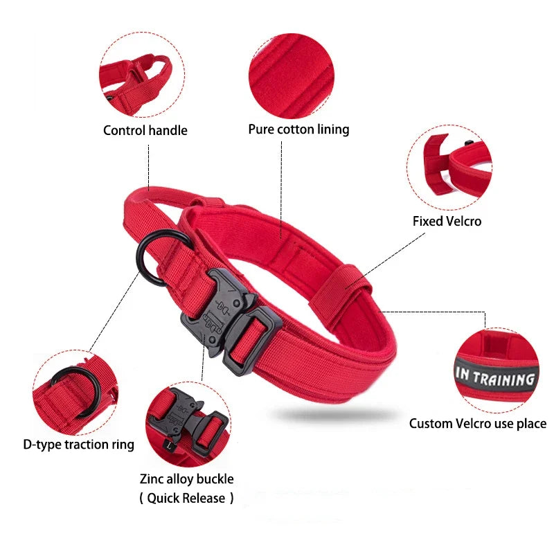 Nylon Adjustable Dog Collar – MotionPath™