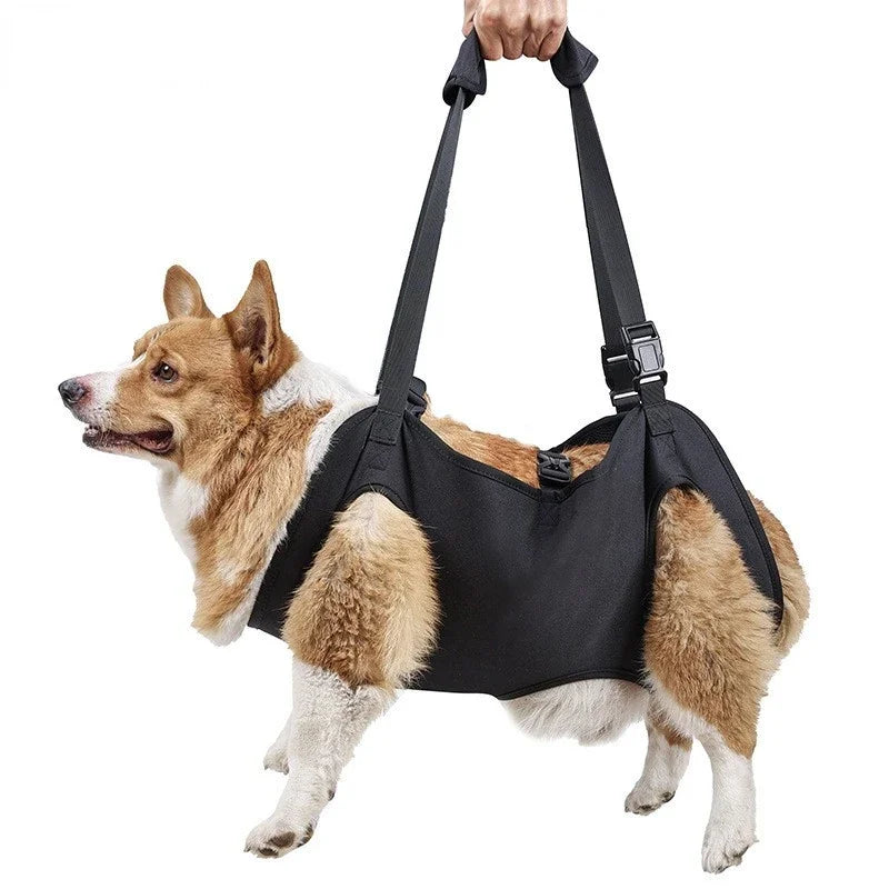 Adjustable Dog Support Harness – TrekComfort™