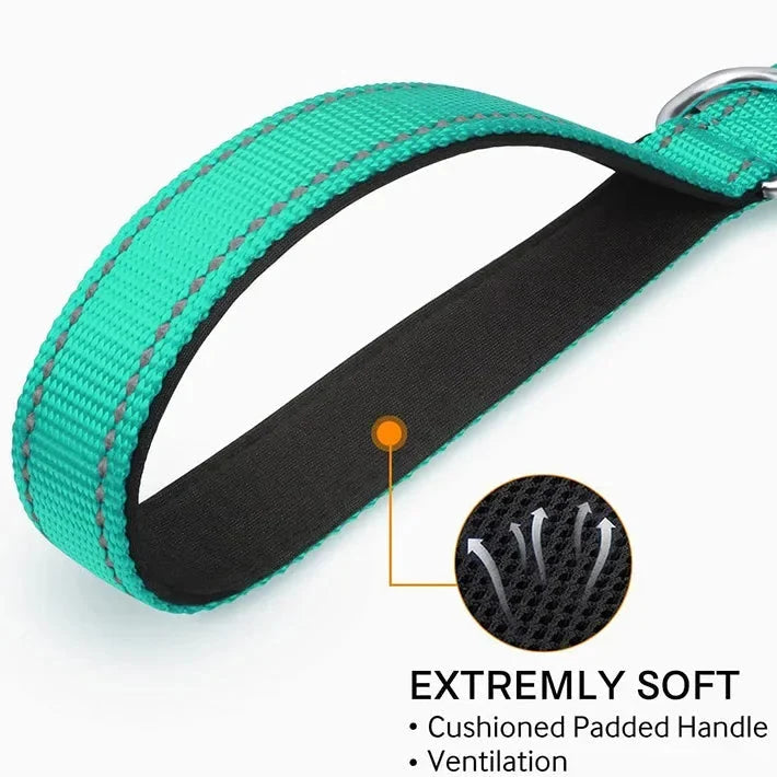 Tailented LeadFlow™ – Nylon Reflective Dog Leash for Everyday Walks