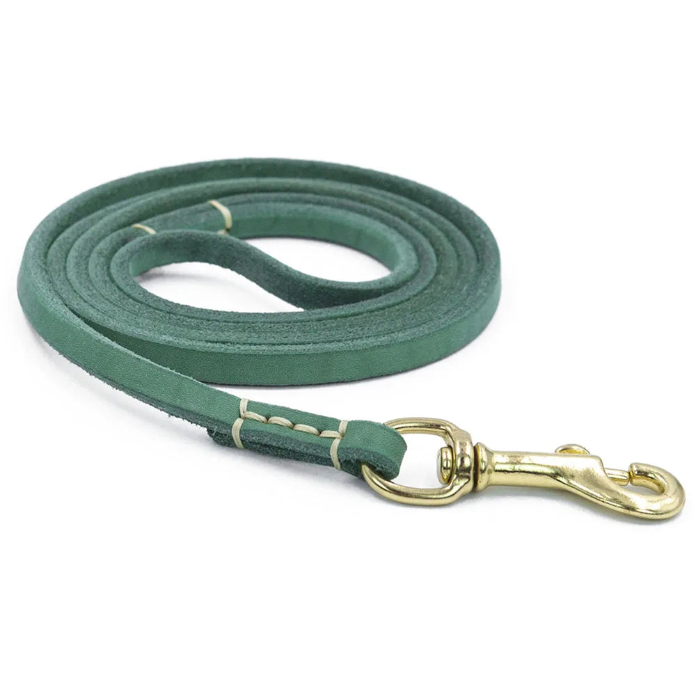 Tailented WalkPaws™ – Leather Dog Leash for Cats