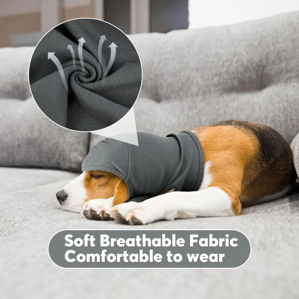 Adjustable Pet Headwear for Dogs – ThermoMotion™