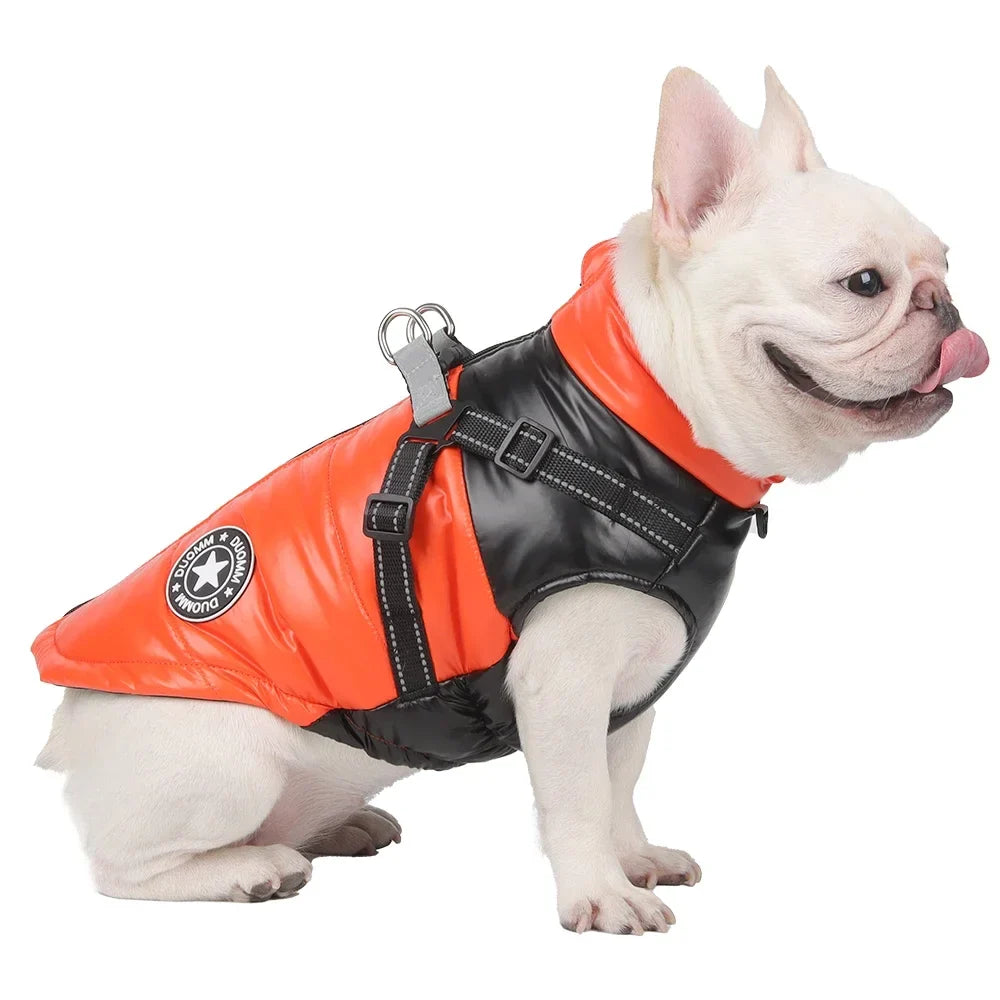 Warm Dog Coat with Integrated Harness – PawMate™