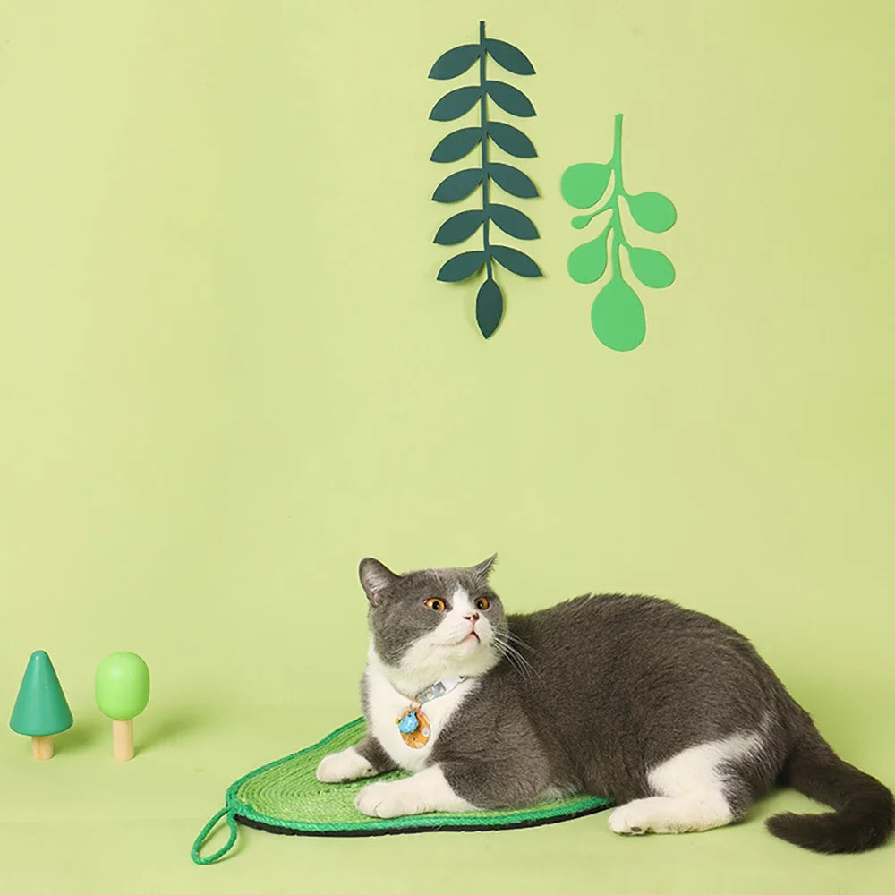 Decorative Sisal Cat Scratching Board – PetFlow™