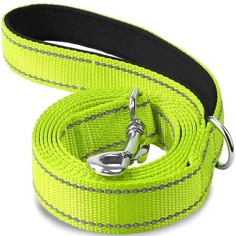 Tailented LeadFlow™ – Nylon Reflective Dog Leash for Everyday Walks