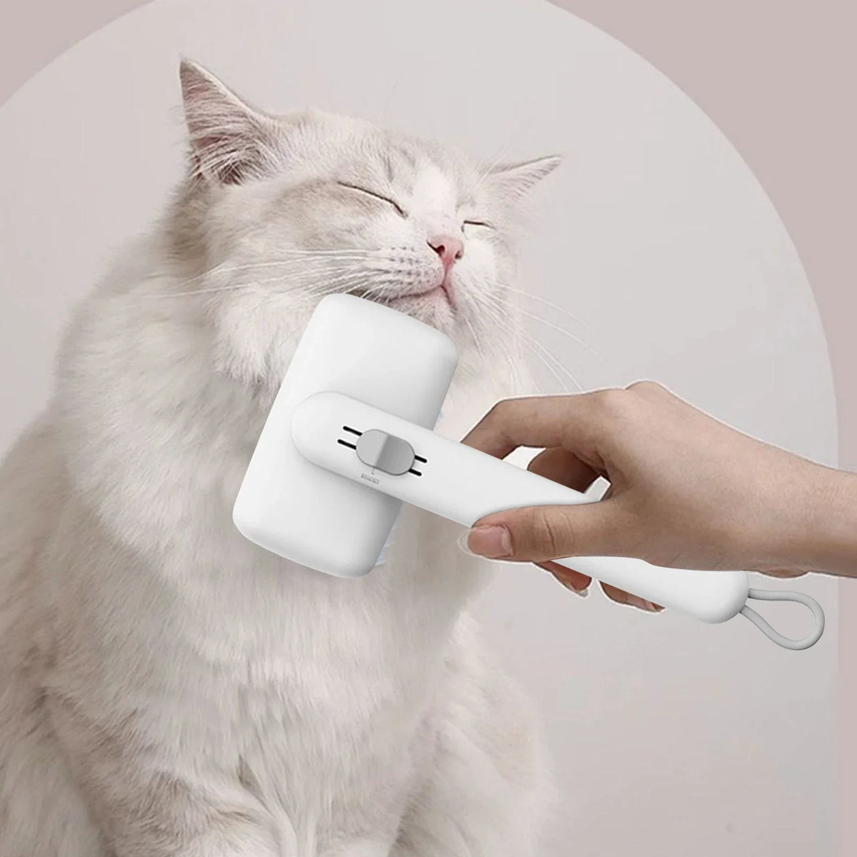 Everyday Pet Grooming Brush for Dogs & Cats – CareBalance™