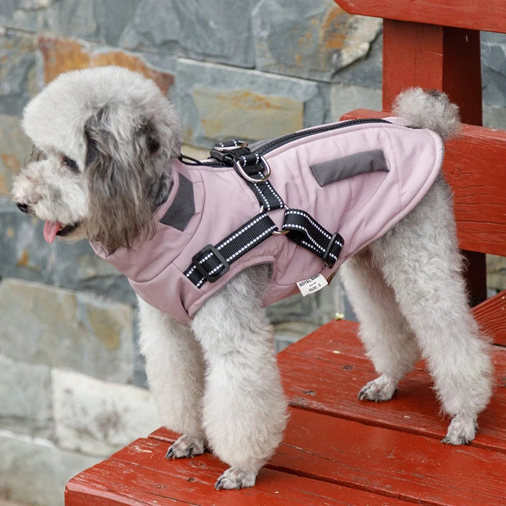 Warm Dog Coat with Built-In Harness – ShieldPlus™