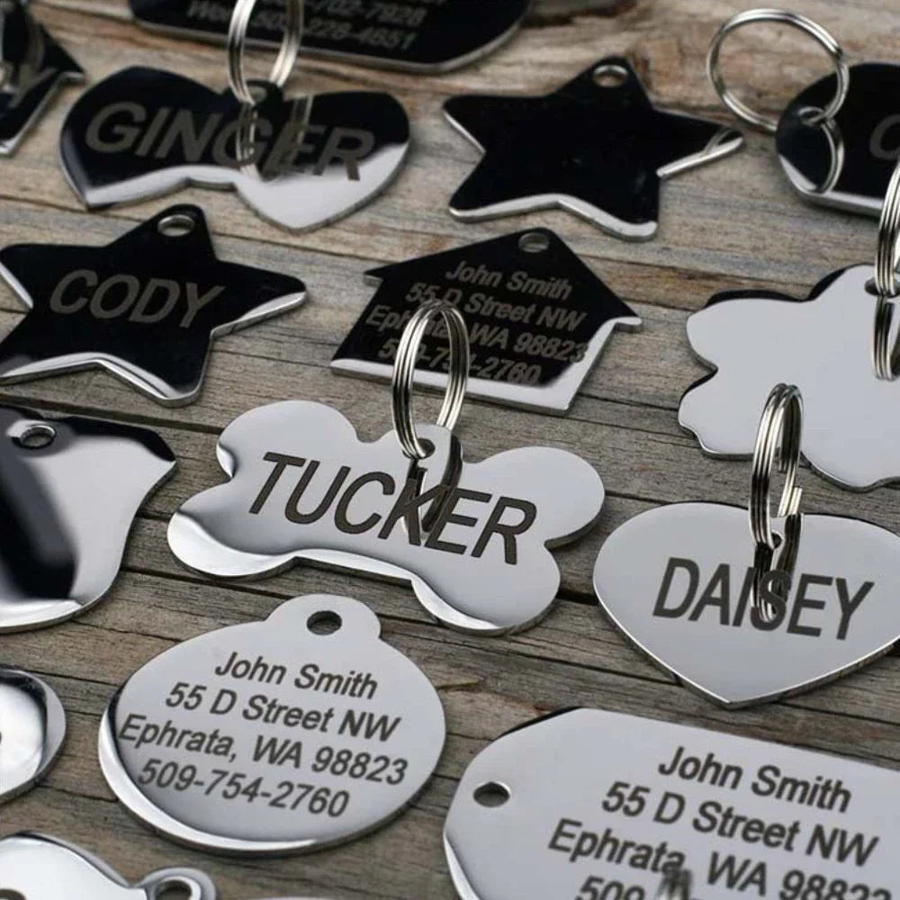 Tailented PureGo™ – Personalized Pet ID Tag in Stainless Steel for Dogs & Cats