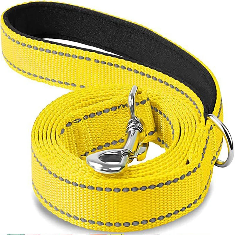 Tailented LeadFlow™ – Nylon Reflective Dog Leash for Everyday Walks