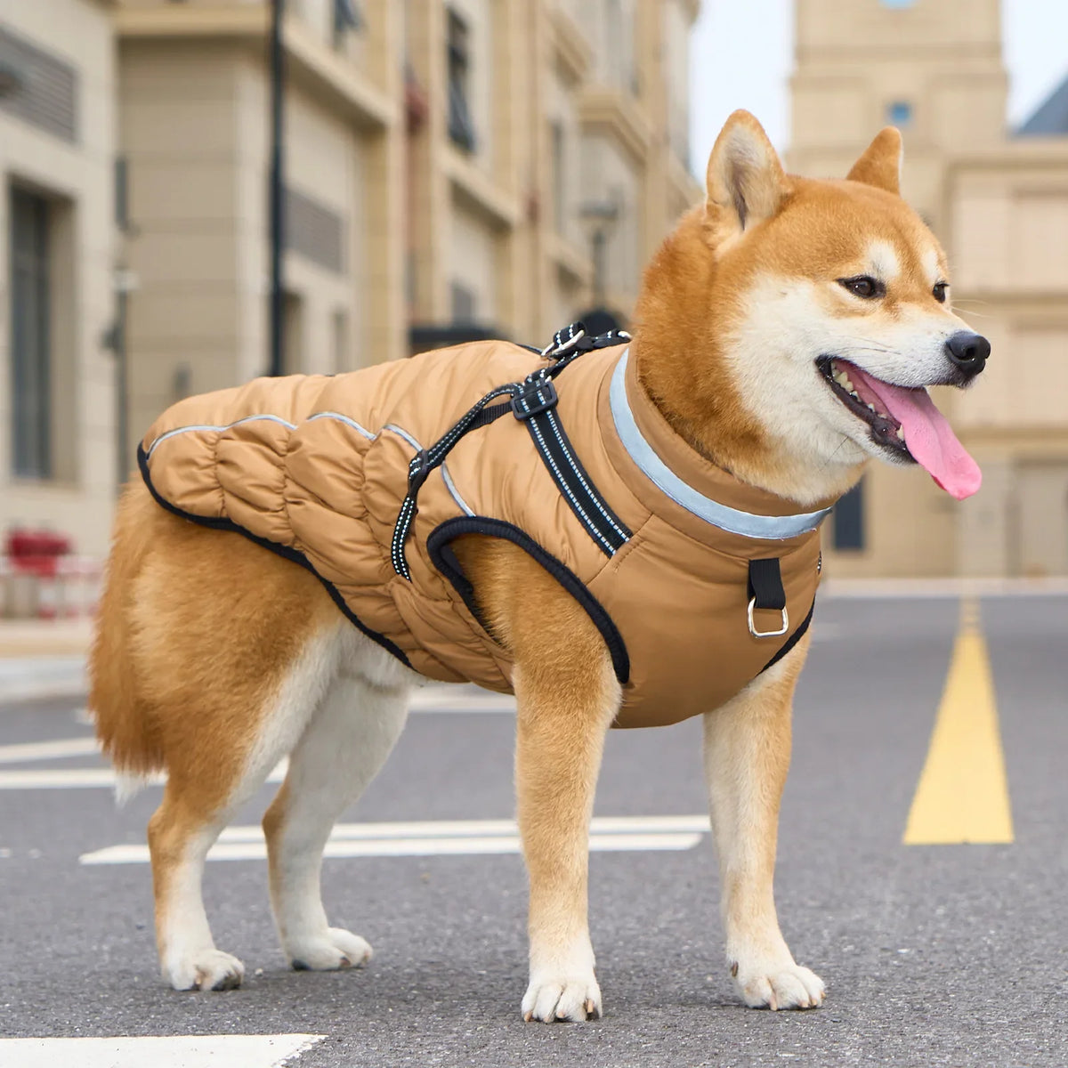 Warm Dog Coat for Large Breeds – SnugWorks™
