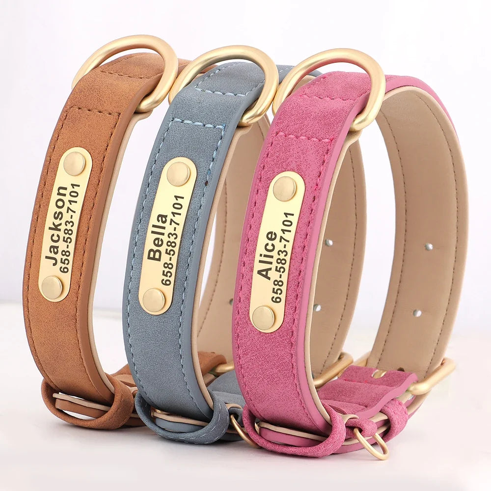Tailented PawLink™ – Adjustable Dog Collar for Everyday Wear & Walking