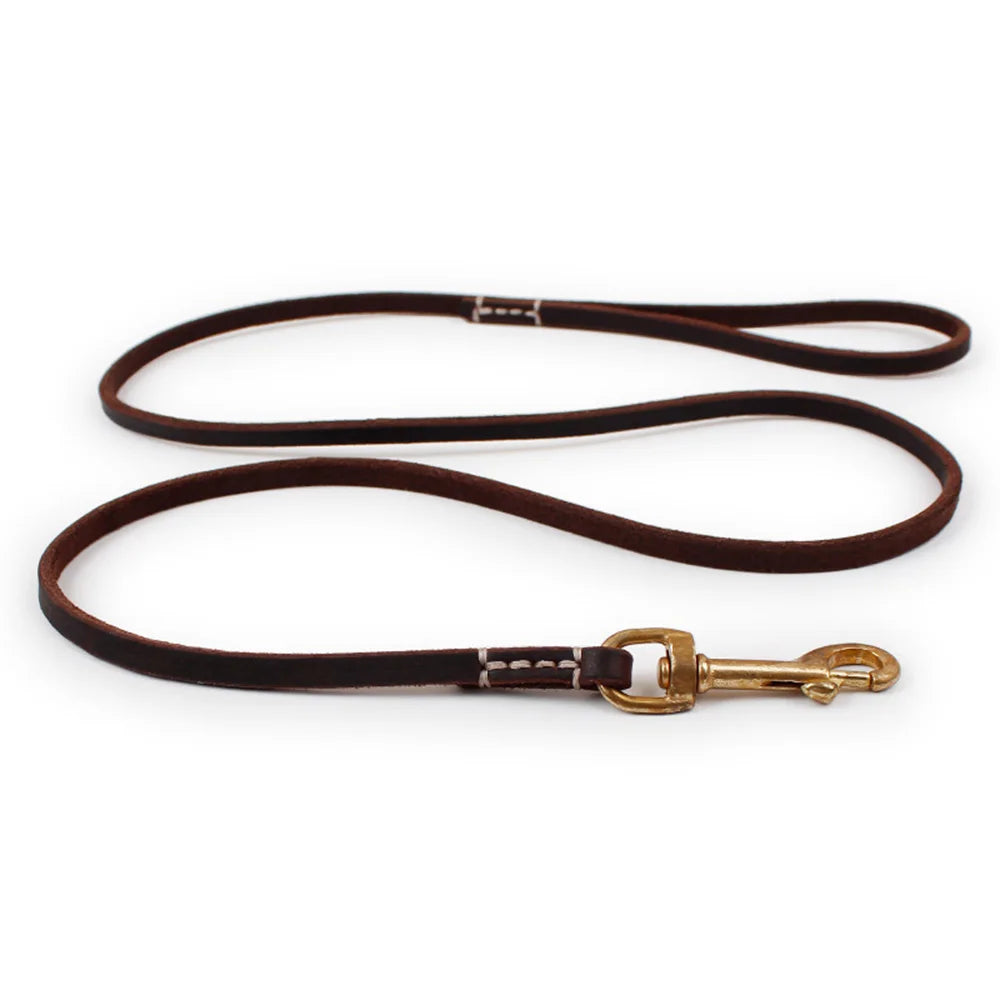 Tailented WalkPaws™ – Leather Dog Leash for Cats