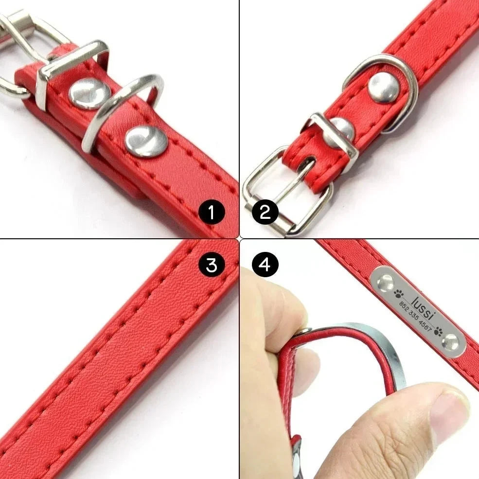Personalised Stainless Steel Nameplate Pet Collar – ControlAdventure™
