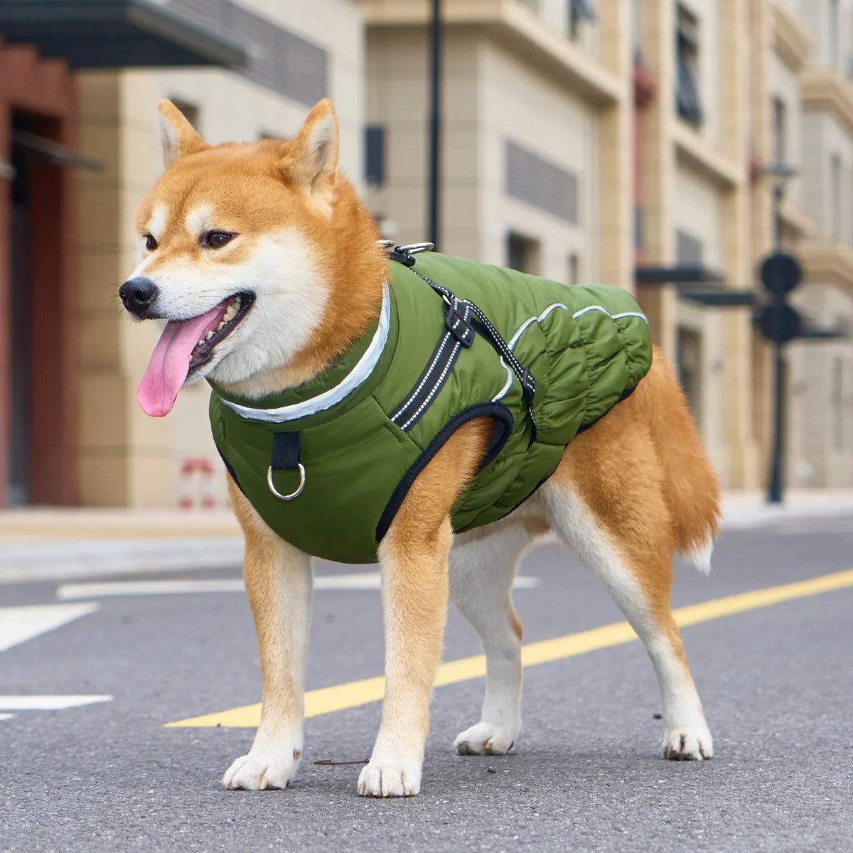Warm Dog Coat for Large Breeds – SnugWorks™
