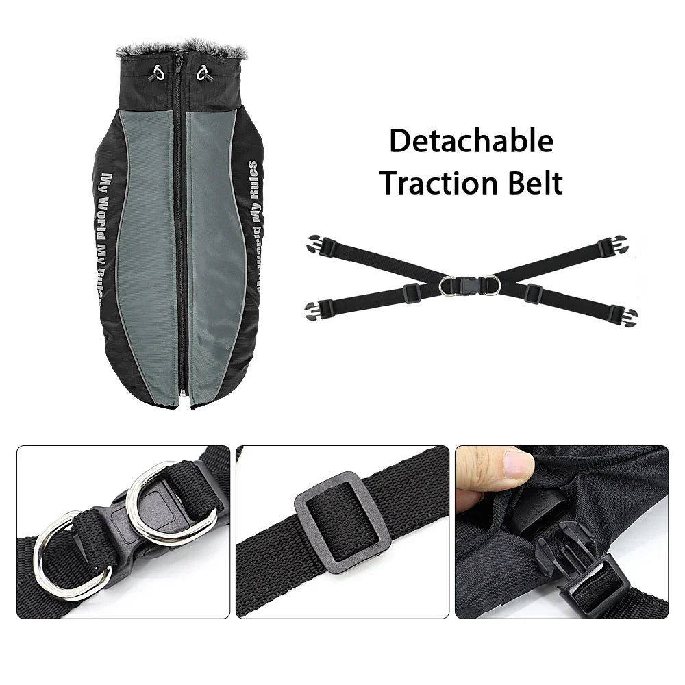 Warm Waterproof Dog Coat with Harness – WeatherLink™