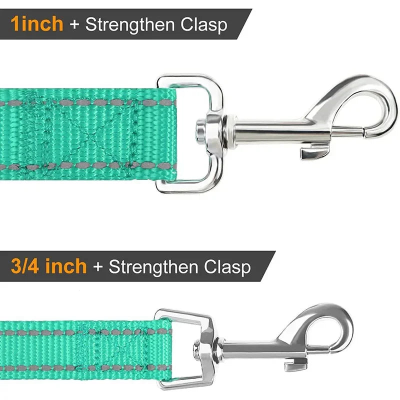 Tailented LeadFlow™ – Nylon Reflective Dog Leash for Everyday Walks